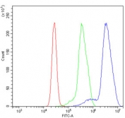 Flow cytometry testing of human K562 cells with hnRNP H3 antibody at 1ug/million cells (blocked with goat sera); Red=cells alone, Green=isotype control, Blue= hnRNP H3 antibody.