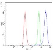 Flow cytometry testing of human 293T cells with MEK5 antibody at 1ug/million cells (blocked with goat sera); Red=cells alone, Green=isotype control, Blue= MEK5 antibody.