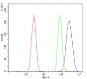 Flow cytometry testing of mouse HEPA1-6 cells with Irf3 antibody at 1ug/million cells (blocked with goat sera); Red=cells alone, Green=isotype control, Blue= Irf3 antibody.