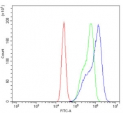 Flow cytometry testing of human Caco-2 cells with MT2-MMP antibody at 1ug/million cells (blocked with goat sera); Red=cells alone, Green=isotype control, Blue= MT2-MMP antibody.