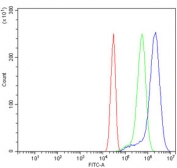 Flow cytometry testing of mouse HEPA1-6 cells with Cd20 antibody at 1ug/million cells (blocked with goat sera); Red=cells alone, Green=isotype control, Blue= Cd20 antibody.