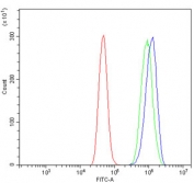 Flow cytometry testing of human A431 cells with NDUFB3 antibody at 1ug/million cells (blocked with goat sera); Red=cells alone, Green=isotype control, Blue= NDUFB3 antibody.