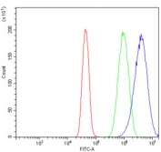 Flow cytometry testing of human U-251 cells with PRKG1 antibody at 1ug/million cells (blocked with goat sera); Red=cells alone, Green=isotype control, Blue= PRKG1 antibody.