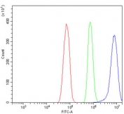 Flow cytometry testing of rat RH-35 cells with PRKG1 antibody at 1ug/million cells (blocked with goat sera); Red=cells alone, Green=isotype control, Blue= PRKG1 antibody.