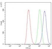 Flow cytometry testing of human A549 cells with RhoF antibody at 1ug/million cells (blocked with goat sera); Red=cells alone, Green=isotype control, Blue= RhoF antibody.