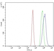 Flow cytometry testing of human A431 cells with Serum Response Factor antibody at 1ug/million cells (blocked with goat sera); Red=cells alone, Green=isotype control, Blue= Serum Response Factor antibody.