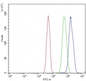 Flow cytometry testing of human U-251 cells with Serum Response Factor antibody at 1ug/million cells (blocked with goat sera); Red=cells alone, Green=isotype control, Blue= Serum Response Factor antibody.