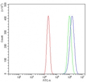 Flow cytometry testing of human U-2 OS cells with Synaptic vesicle glycoprotein 2A antibody at 1ug/million cells (blocked with goat sera); Red=cells alone, Green=isotype control, Blue= Synaptic vesicle glycoprotein 2A antibody.