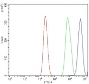 Flow cytometry testing of mouse RAW264.7 cells with Trim25 antibody at 1ug/million cells (blocked with goat sera); Red=cells alone, Green=isotype control, Blue= Trim25 antibody.