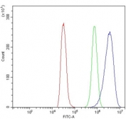 Flow cytometry testing of rat NRK cells with Trim25 antibody at 1ug/million cells (blocked with goat sera); Red=cells alone, Green=isotype control, Blue= Trim25 antibody.