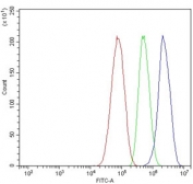 Flow cytometry testing of human HepG2 cells with CPN1 antibody at 1ug/million cells (blocked with goat sera); Red=cells alone, Green=isotype control, Blue= CPN1 antibody.