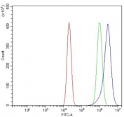 Flow cytometry testing of human U-2 OS cells with PDIR antibody at 1ug/million cells (blocked with goat sera); Red=cells alone, Green=isotype control, Blue= PDIR antibody.