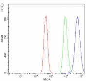 Flow cytometry testing of human A431 cells with SAMHD1 antibody at 1ug/million cells (blocked with goat sera); Red=cells alone, Green=isotype control, Blue= SAMHD1 antibody.