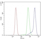 Flow cytometry testing of human U937 cells with Vesicle-fusing ATPase antibody at 1ug/million cells (blocked with goat sera); Red=cells alone, Green=isotype control, Blue= Vesicle-fusing ATPase antibody.