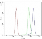 Flow cytometry testing of human U937 cells with PDI antibody at 1ug/million cells (blocked with goat sera); Red=cells alone, Green=isotype control, Blue= PDI antibody.