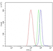 Flow cytometry testing of human ThP-1 cells with GRB10 antibody at 1ug/million cells (blocked with goat sera); Red=cells alone, Green=isotype control, Blue= GRB10 antibody.