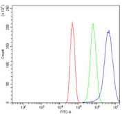 Flow cytometry testing of human U-251 cells with CBX5 antibody at 1ug/million cells (blocked with goat sera); Red=cells alone, Green=isotype control, Blue= CBX5 antibody.