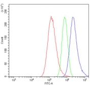 Flow cytometry testing of human A549 cells with ITGB5 antibody at 1ug/million cells (blocked with goat sera); Red=cells alone, Green=isotype control, Blue= ITGB5 antibody.