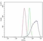 Flow cytometry testing of human ThP-1 cells with Caspase-5 antibody at 1ug/million cells (blocked with goat sera); Red=cells alone, Green=isotype control, Blue= Caspase-5 antibody.