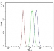 Flow cytometry testing of human U937 cells with Caspase-9 antibody at 1ug/million cells (blocked with goat sera); Red=cells alone, Green=isotype control, Blue= Caspase-9 antibody.