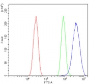 Flow cytometry testing of mouse HEPA1-6 cells with Interferon regulatory factor 3 antibody at 1ug/million cells (blocked with goat sera); Red=cells alone, Green=isotype control, Blue= Interferon regulatory factor 3 antibody.