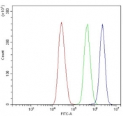 Flow cytometry testing of human MCF7 cells with EHD3 antibody at 1ug/million cells (blocked with goat sera); Red=cells alone, Green=isotype control, Blue= EHD3 antibody.