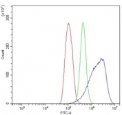 Flow cytometry testing of human ThP-1 cells with EPRS antibody at 1ug/million cells (blocked with goat sera); Red=cells alone, Green=isotype control, Blue= EPRS antibody.