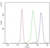 Flow cytometry testing of human K562 cells with Indoleamine 2,3-dioxygenase 2 antibody at 1ug/million cells (blocked with goat sera); Red=cells alone, Green=isotype control, Blue= Indoleamine 2,3-dioxygenase 2 antibody.