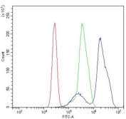 Flow cytometry testing of human K562 cells with Interferon regulatory factor 3 antibody at 1ug/million cells (blocked with goat sera); Red=cells alone, Green=isotype control, Blue= Interferon regulatory factor 3 antibody.