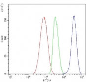 Flow cytometry testing of human HepG2 cells with PFAS antibody at 1ug/million cells (blocked with goat sera); Red=cells alone, Green=isotype control, Blue= PFAS antibody.