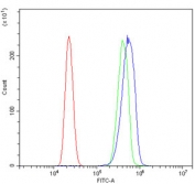 Flow cytometry testing of human HL60 cells with PHB antibody at 1ug/million cells (blocked with goat sera); Red=cells alone, Green=isotype control, Blue= PHB antibody.