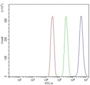 Flow cytometry testing of human SiHa cells with PRDM14 antibody at 1ug/million cells (blocked with goat sera); Red=cells alone, Green=isotype control, Blue= PRDM14 antibody.