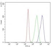 Flow cytometry testing of human Caco-2 cells with RTCA antibody at 1ug/million cells (blocked with goat sera); Red=cells alone, Green=isotype control, Blue= RTCA antibody.