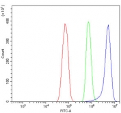 Flow cytometry testing of rat RH35 cells with SRD5A1 antibody at 1ug/million cells (blocked with goat sera); Red=cells alone, Green=isotype control, Blue= SRD5A1 antibody.