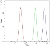 Flow cytometry testing of human HeLa cells with TBP associated factor 4 antibody at 1ug/million cells (blocked with goat sera); Red=cells alone, Green=isotype control, Blue= TBP associated factor 4 antibody.