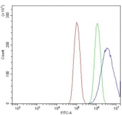 Flow cytometry testing of human PC-3 cells with TICAM1 antibody at 1ug/million cells (blocked with goat sera); Red=cells alone, Green=isotype control, Blue= TICAM1 antibody.