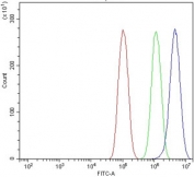 Flow cytometry testing of human PC-3 cells with VAMP4 antibody at 1ug/million cells (blocked with goat sera); Red=cells alone, Green=isotype control, Blue= VAMP4 antibody.