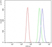 Flow cytometry testing of human A431 cells with SHMT antibody at 1ug/million cells (blocked with goat sera); Red=cells alone, Green=isotype control, Blue= SHMT antibody.