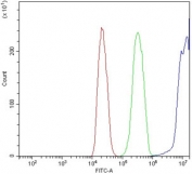 Flow cytometry testing of rat C6 cells with CD154 antibody at 1ug/million cells (blocked with goat sera); Red=cells alone, Green=isotype control, Blue= CD154 antibody.