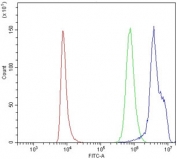 Flow cytometry testing of human PBM cells with CD154 antibody at 1ug/million cells (blocked with goat sera); Red=cells alone, Green=isotype control, Blue= CD154 antibody.