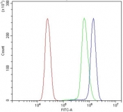 Flow cytometry testing of human U937 cells with cGAS antibody at 1ug/million cells (blocked with goat sera); Red=cells alone, Green=isotype control, Blue= cGAS antibody.