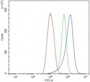 Flow cytometry testing of human ThP-1 cells with CHCHD10 antibody at 1ug/million cells (blocked with goat sera); Red=cells alone, Green=isotype control, Blue= CHCHD10 antibody.