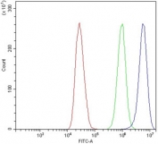 Flow cytometry testing of human MCF7 cells with Claudin 3 antibody at 1ug/million cells (blocked with goat sera); Red=cells alone, Green=isotype control, Blue= Claudin 3 antibody.