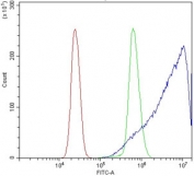 Flow cytometry testing of human U937 cells with Coronin 1a antibody at 1ug/million cells (blocked with goat sera); Red=cells alone, Green=isotype control, Blue= Coronin 1a antibody.