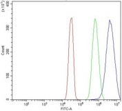 Flow cytometry testing of human SiHa cells with DCTN1 antibody at 1ug/million cells (blocked with goat sera); Red=cells alone, Green=isotype control, Blue= DCTN1 antibody.