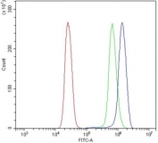 Flow cytometry testing of human U937 cells with DLG4 antibody at 1ug/million cells (blocked with goat sera); Red=cells alone, Green=isotype control, Blue= DLG4 antibody.