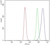 Flow cytometry testing of rat NRK cells with DYNLL1 antibody at 1ug/million cells (blocked with goat sera); Red=cells alone, Green=isotype control, Blue= DYNLL1 antibody.