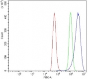 Flow cytometry testing of rat NRK cells with Il1ra antibody at 1ug/million cells (blocked with goat sera); Red=cells alone, Green=isotype control, Blue= Il1ra antibody.