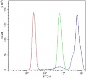 Flow cytometry testing of human U937 cells with B-Myb antibody at 1ug/million cells (blocked with goat sera); Red=cells alone, Green=isotype control, Blue= B-Myb antibody.