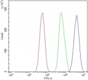 Flow cytometry testing of human U-87 MG cells with Proteasome subunit beta type-5 antibody at 1ug/million cells (blocked with goat sera); Red=cells alone, Green=isotype control, Blue= Proteasome subunit beta type-5 antibody.